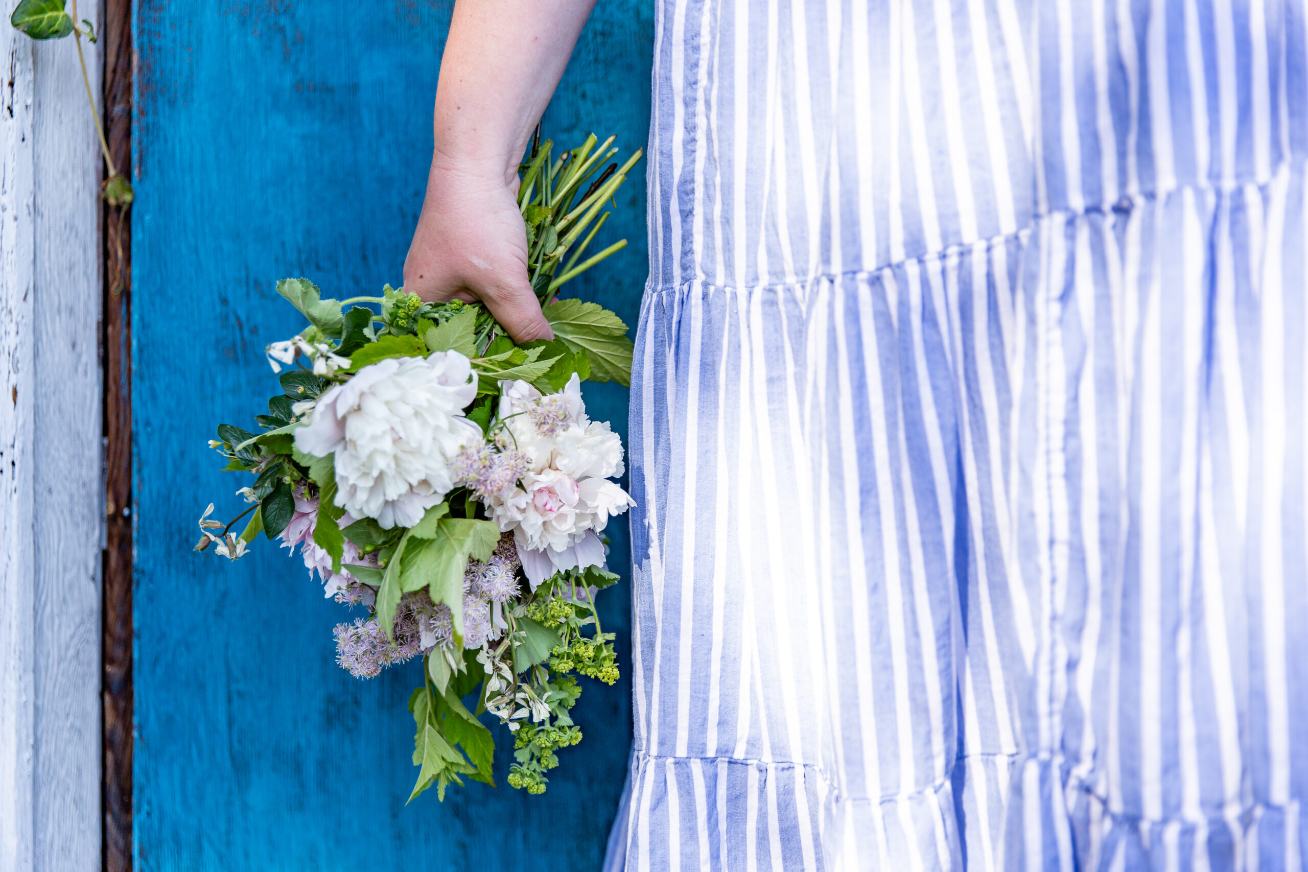 Bouquet of light peonies agains a blue door